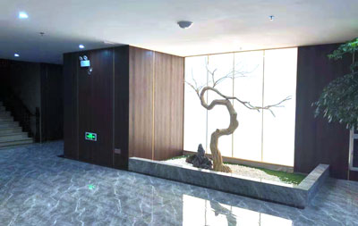 江西撫州水玲瓏會所裝飾案例