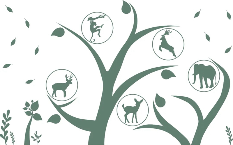 廣州設(shè)計周