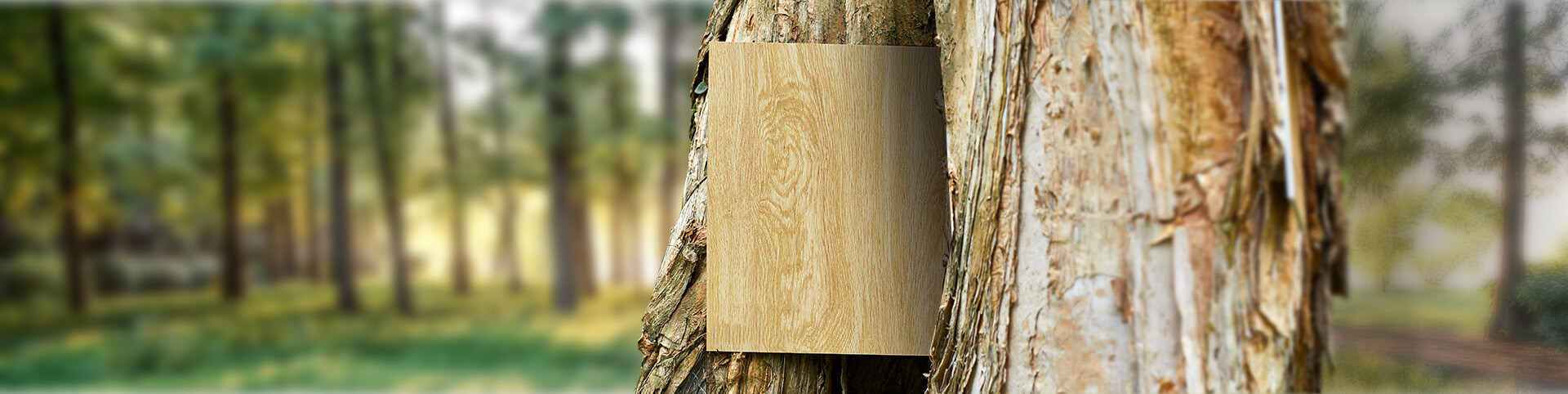 官網(wǎng)首頁海報(1)