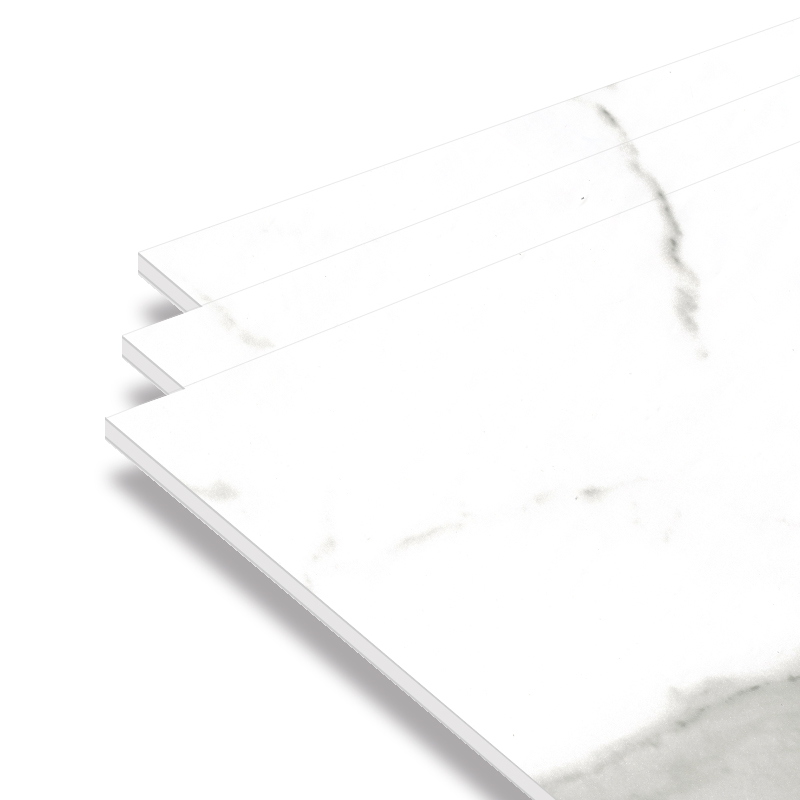 PM0541-E 高啞魚肚白