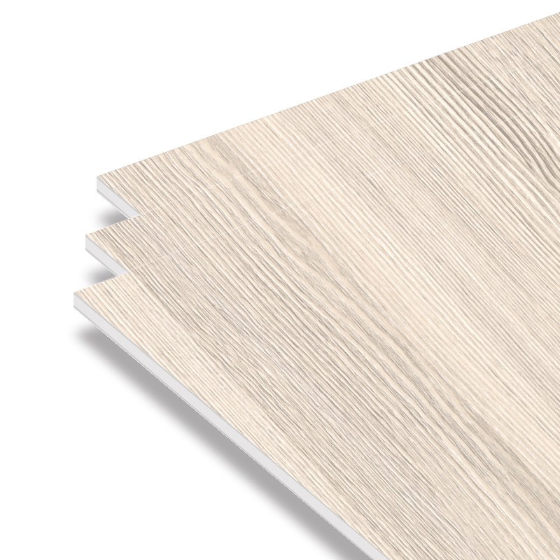 原觸感銀白落葉松