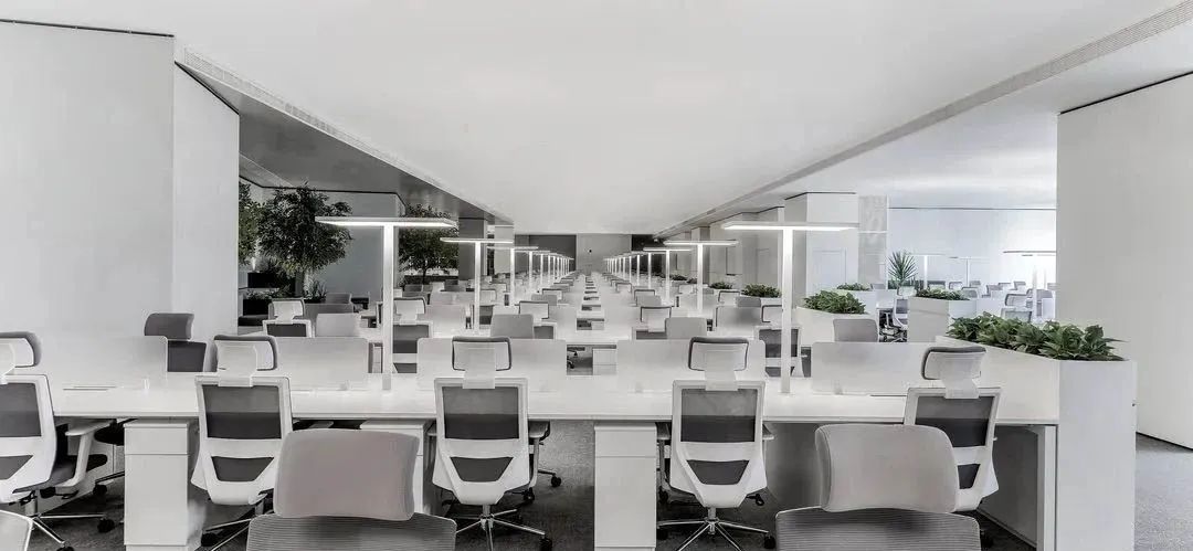 1701140002095 1701140002095